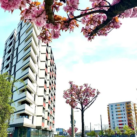 Sky Apartment Timisoara